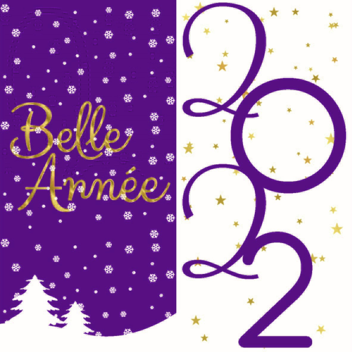 image belle année